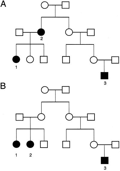 Figure  1