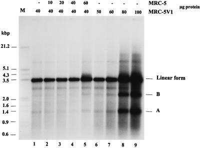 FIG. 5