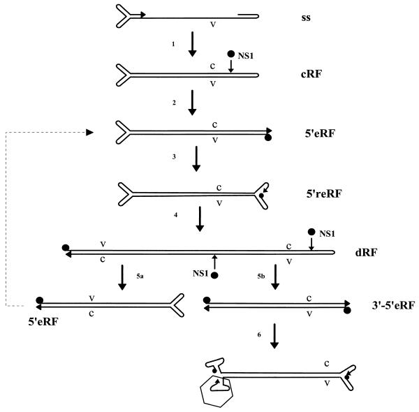 FIG. 1