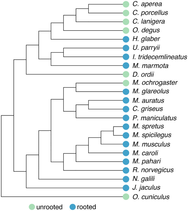 Figure 1 –