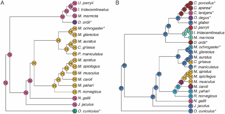 Figure 4 –