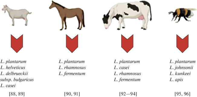 Fig. 3. 