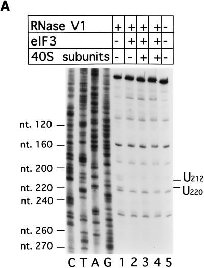 FIG. 7