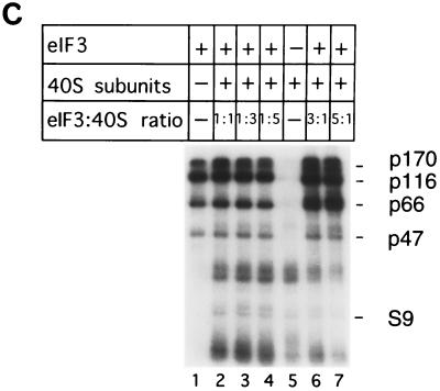 FIG. 7