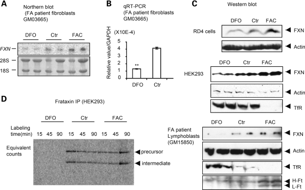 Figure 3.