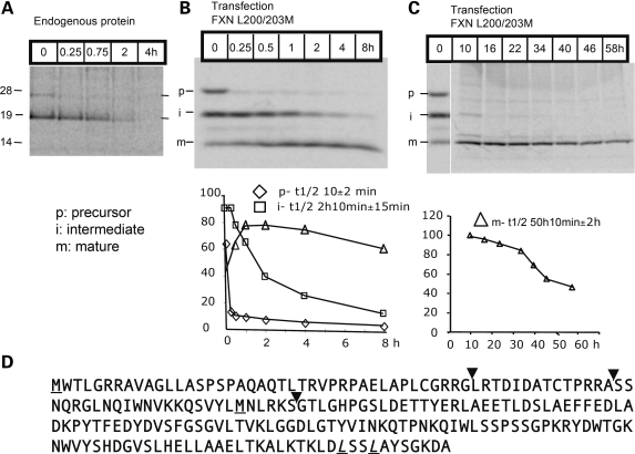 Figure 2.