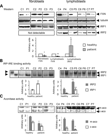 Figure 4.