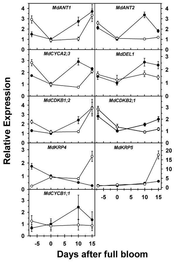 Figure 8