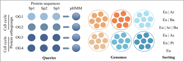 Appendix 1—figure 1.