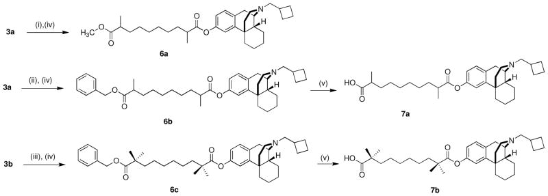 Scheme 2