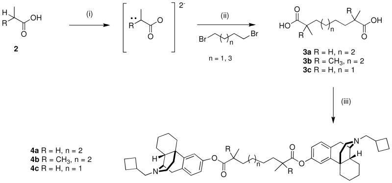 Scheme 1