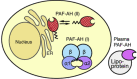 Fig. (4)