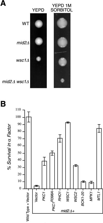 FIG. 5