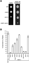 FIG. 5