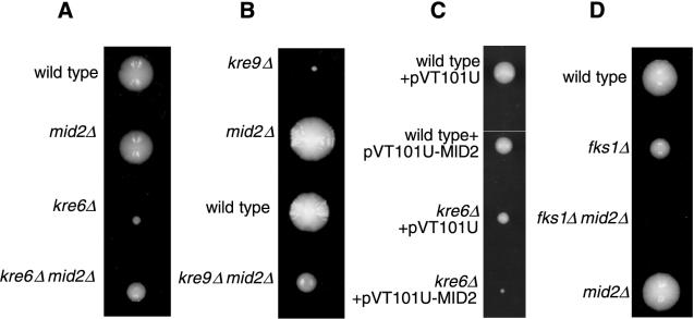 FIG. 3