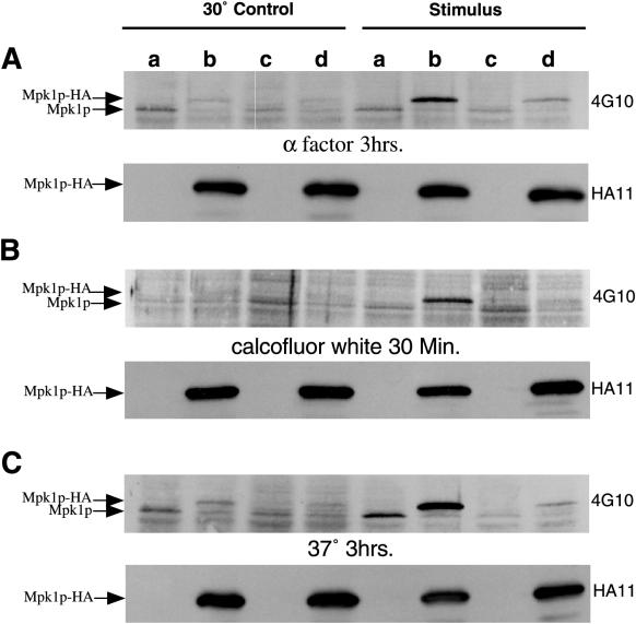 FIG. 6