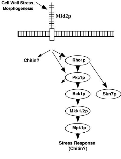 FIG. 7