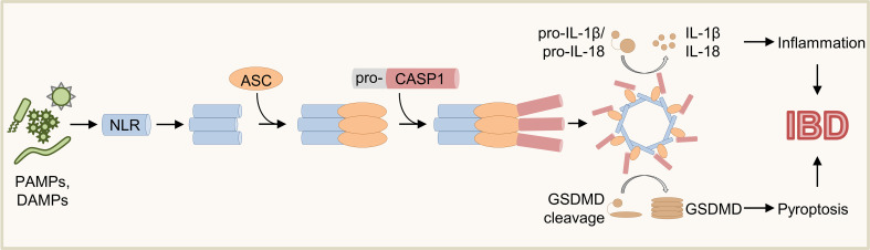 Figure 1