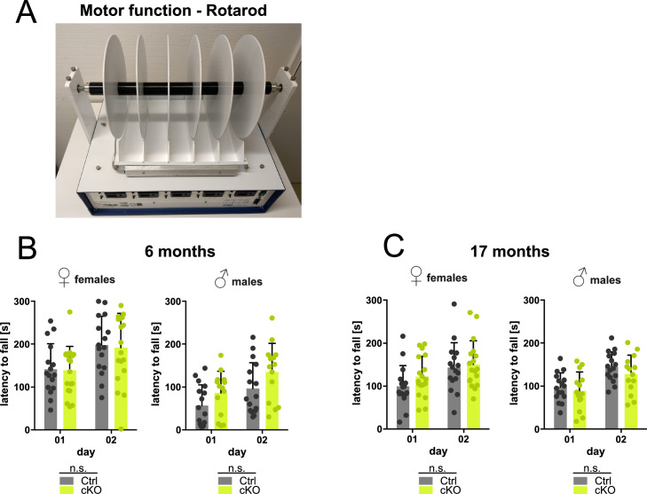 Figure 3—figure supplement 1.