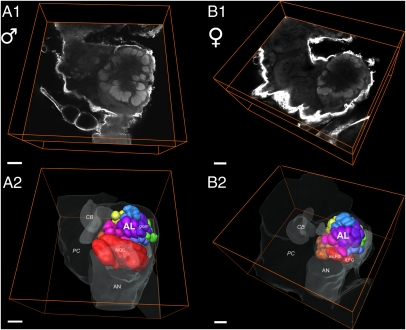 Fig. 3.