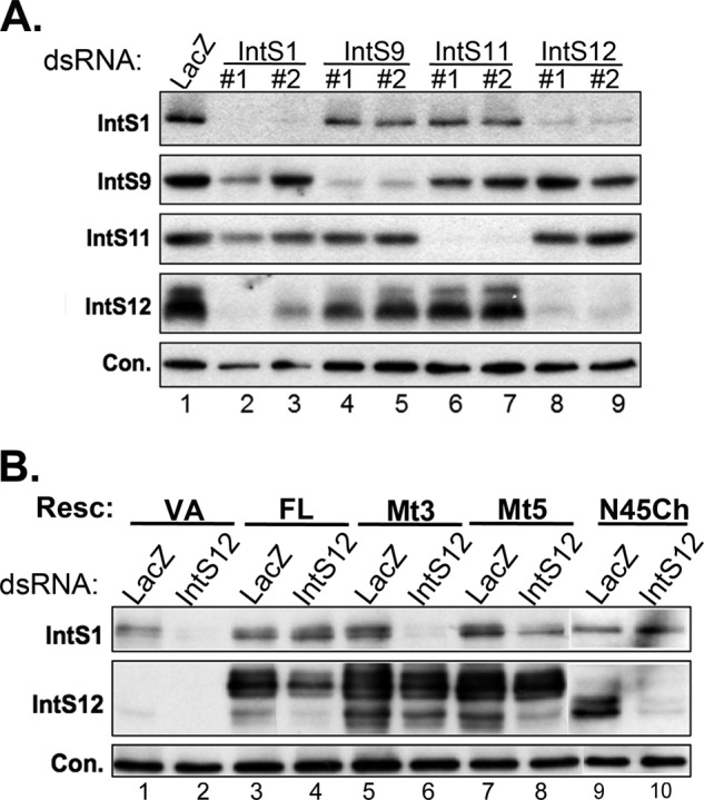 FIGURE 7.