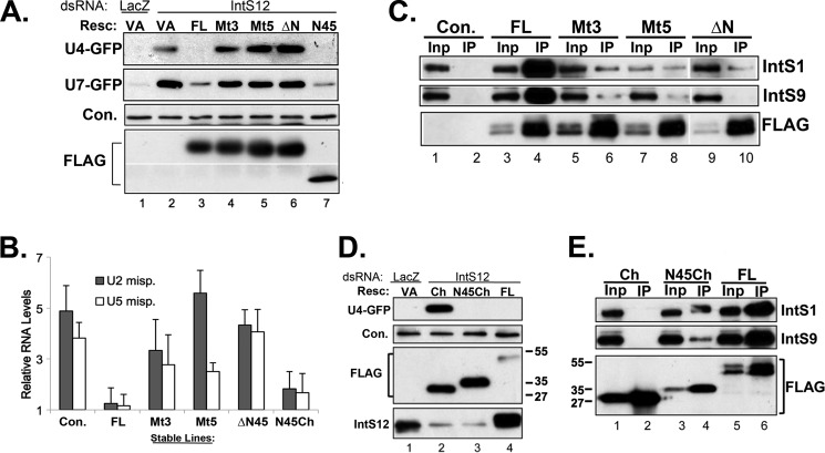 FIGURE 5.