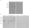 FIG. 8