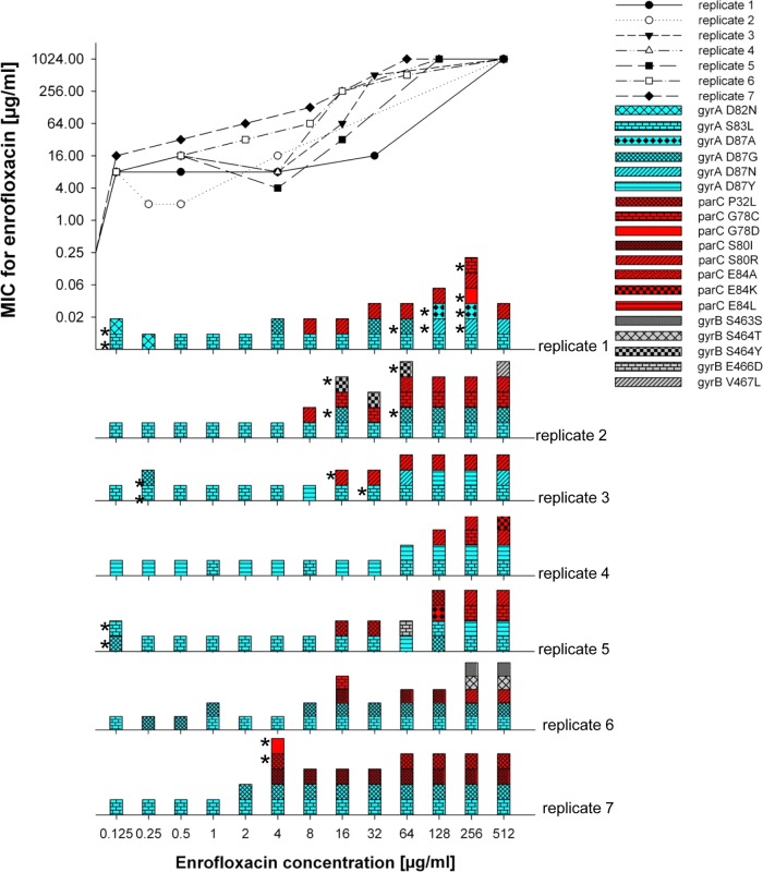 FIG 3