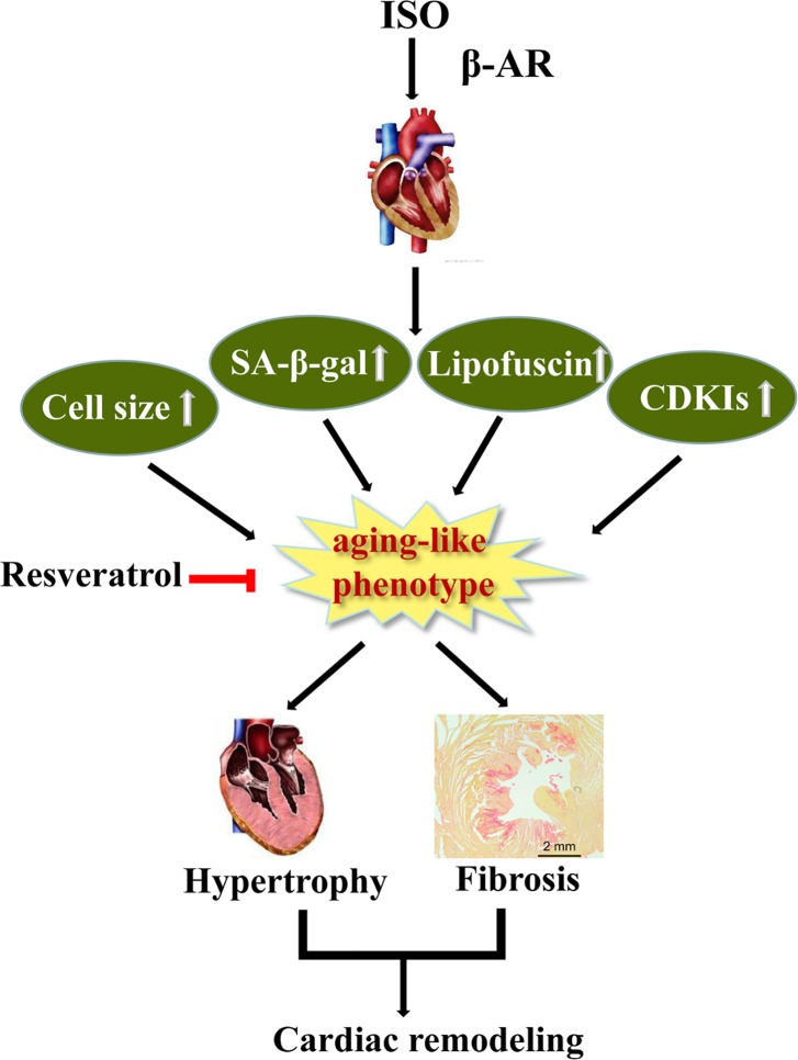 Fig 5