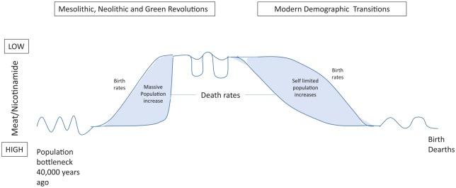 Figure 5.