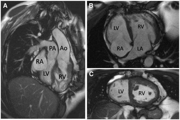 Fig 4