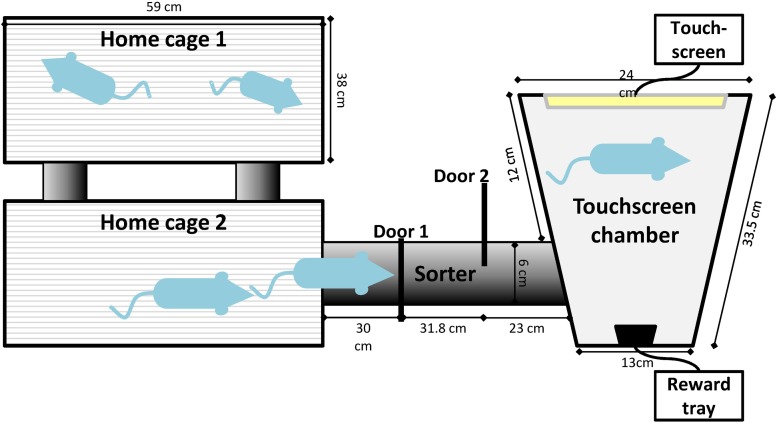 Fig 1