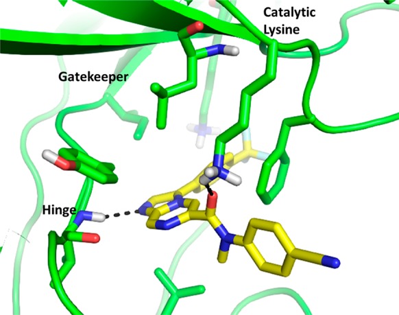 Figure 15