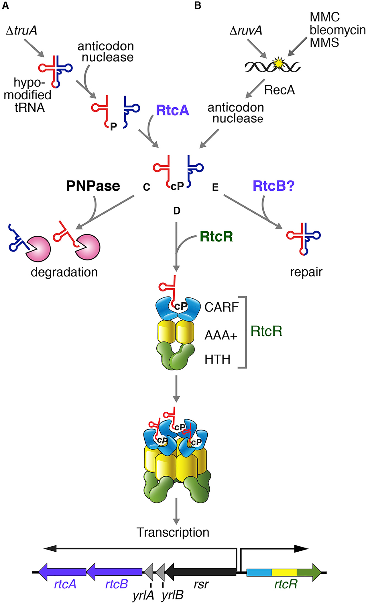 Figure 7.