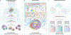 Fig. 2 |