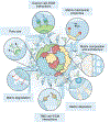 Fig. 4 |