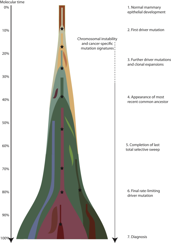 Figure 7