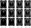 Fig. 9