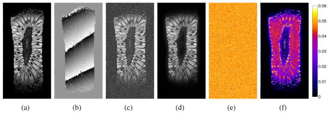 Fig. 10