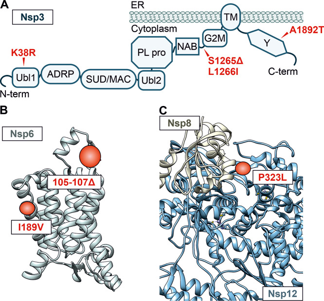 FIG 2