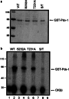 Fig. 4