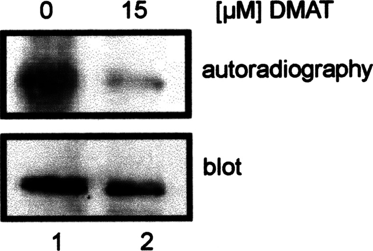 Fig. 5