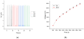 Figure 24