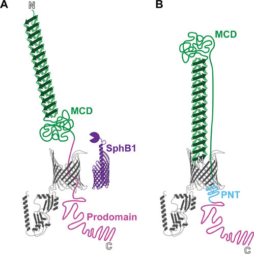 FIGURE 3