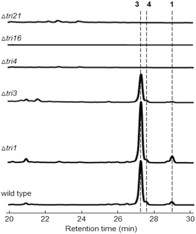 Figure 2.