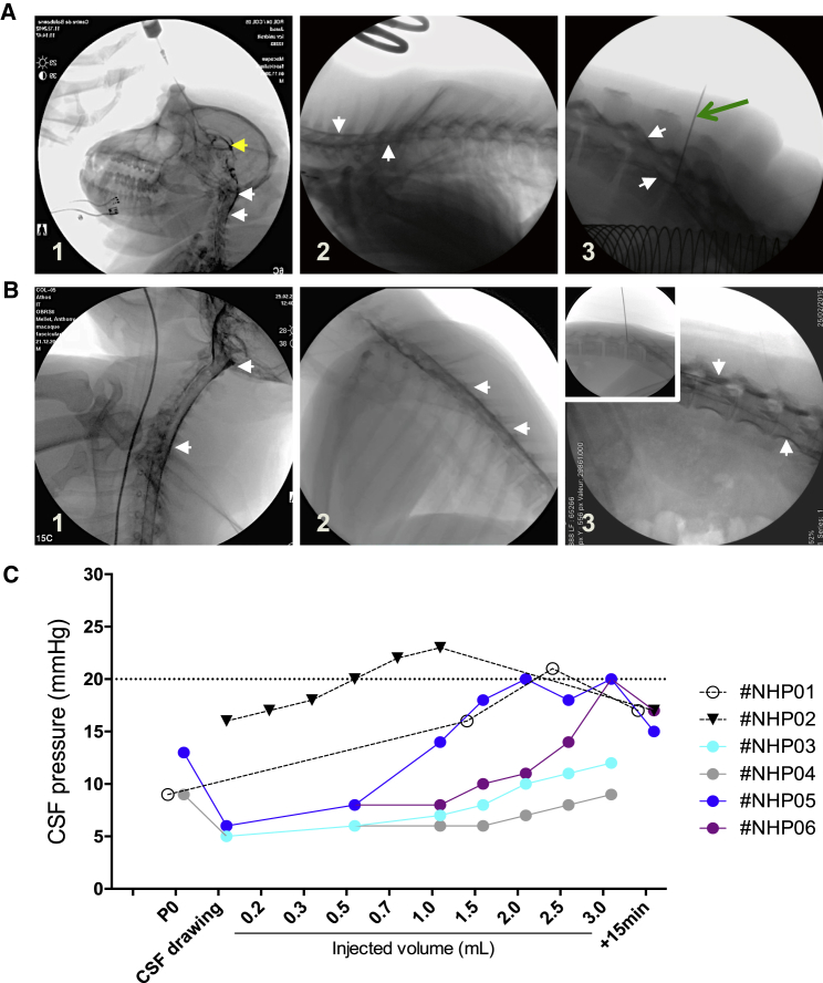 Figure 1