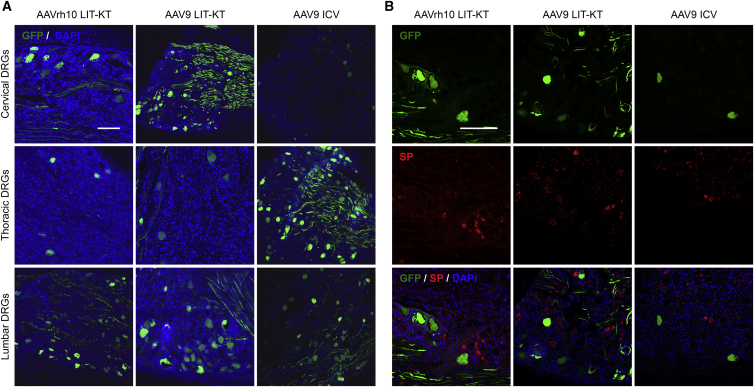 Figure 4