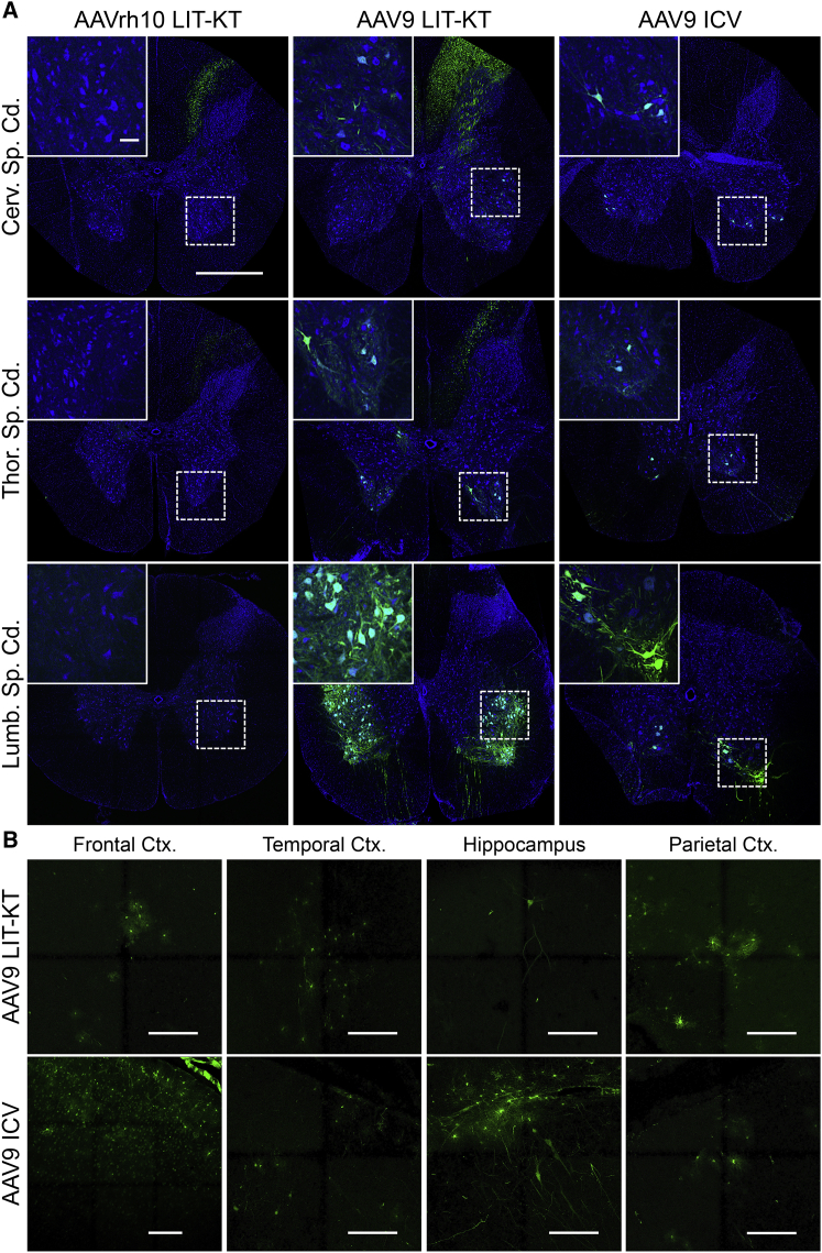 Figure 2