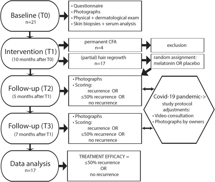 FIGURE 1