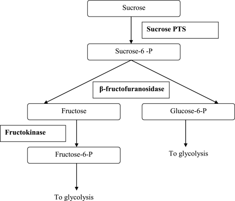 FIG. 5.